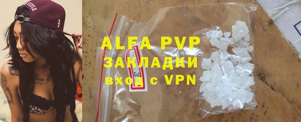 ПСИЛОЦИБИНОВЫЕ ГРИБЫ Богданович