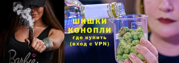 ПСИЛОЦИБИНОВЫЕ ГРИБЫ Богданович