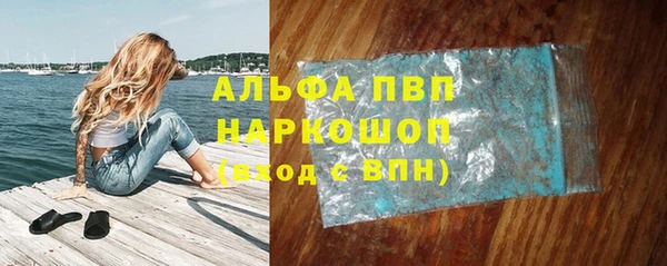 ПСИЛОЦИБИНОВЫЕ ГРИБЫ Богданович