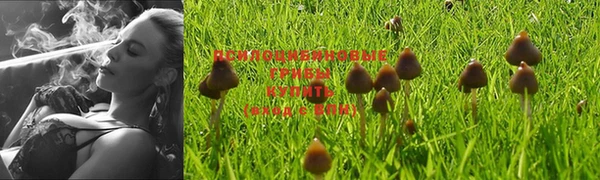 винт Богородицк