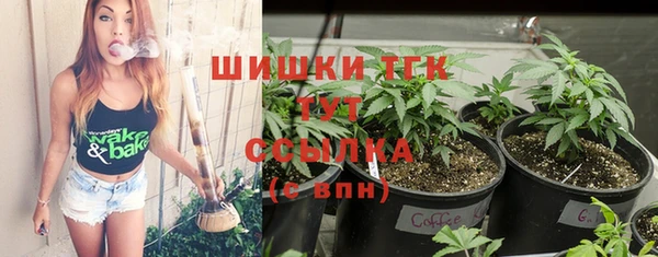 тгк Бронницы