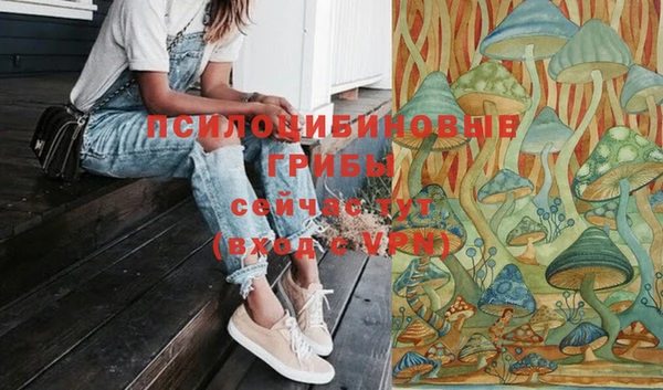 дурь Балахна