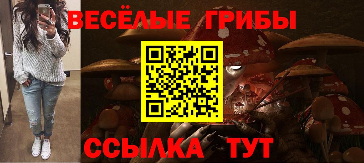 Псилоцибиновые грибы Magic Shrooms Воркута