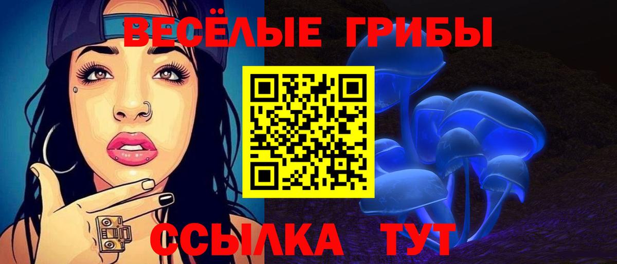 купить закладку  Воркута  Галлюциногенные грибы MAGIC MUSHROOMS 