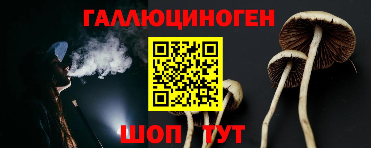 Воркута  Галлюциногенные грибы Psilocybe  Галлюциногенные грибы Magic Shrooms  Вход с VPN 